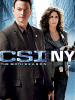 CSI: NY 